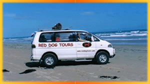 Red Dog Tours on the beach, Australia Outback Tours, Outback Australia Adventures, Outback Tours, Adventure Australia, Australia Tours, Red Centre, Ayers Rock, Kangaroo Island, Barossa Valley, Coober Pedy, Uluru, 4WD Tours, German Guide